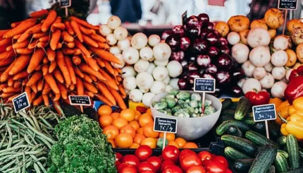 Rastreabilidade de alimentos na indústria alimentícia. 8 rastreabilidade de alimentos