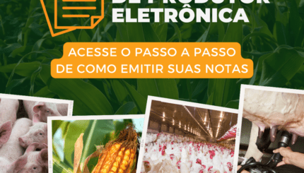 certificado digital para produtor rural