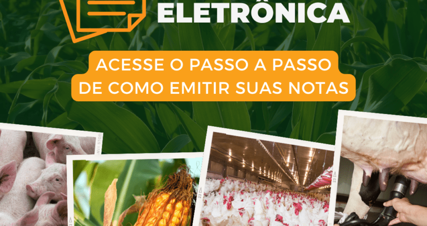 Certificado Digital para Produtor Rural 1 certificado digital para produtor rural