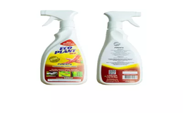 Eco Plant Red 0653969757487 48 Eco Plant Red 0653969757487