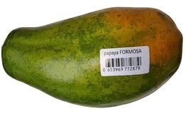 MAMÃO PAPAYA FORMOSA 0653969772879 45 MAMÃO PAPAYA FORMOSA 0653969772879